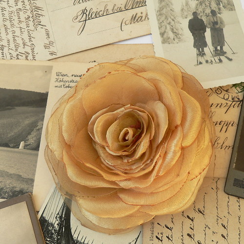 Where the wild roses grow — foto 2