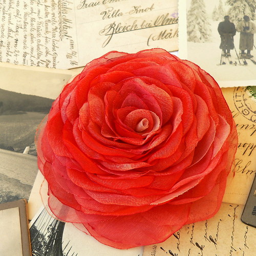 Where the wild roses grow — foto 2