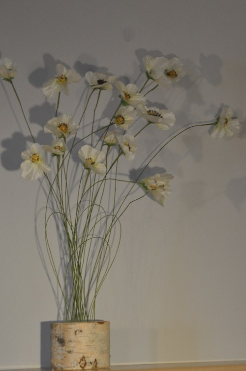 Nastěnčin — foto 3