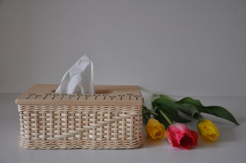 Kapesníkovník tulipánkovitý :) — foto 2
