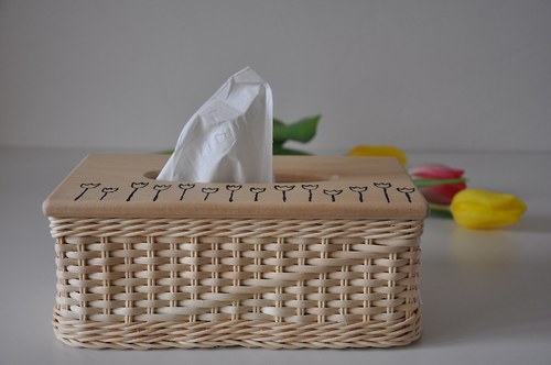 Kapesníkovník tulipánkovitý :) — foto 3