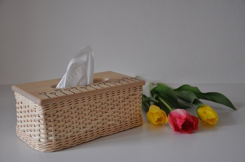 Kapesníkovník tulipánkovitý :) — foto 4