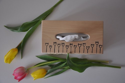 Kapesníkovník tulipánkovitý :) — foto 5