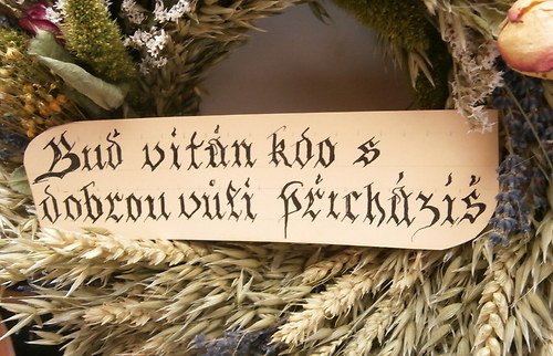 Jen krátká návštěva potěší... — foto 3