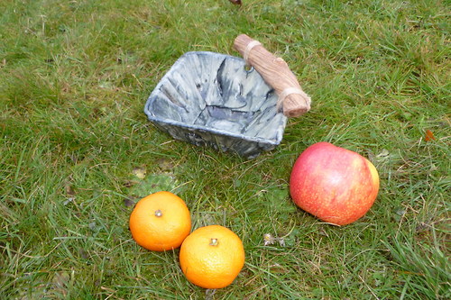 Mísa malá hranatá — foto 2