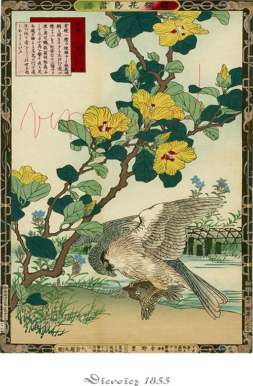 Japonské dřevořezy II, A4 — foto 5