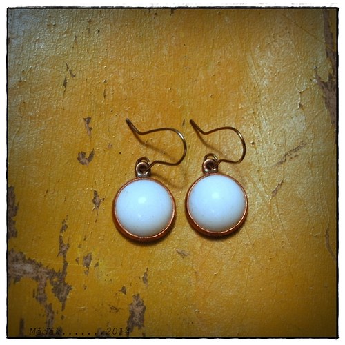 Pámelníkovité... — foto 2