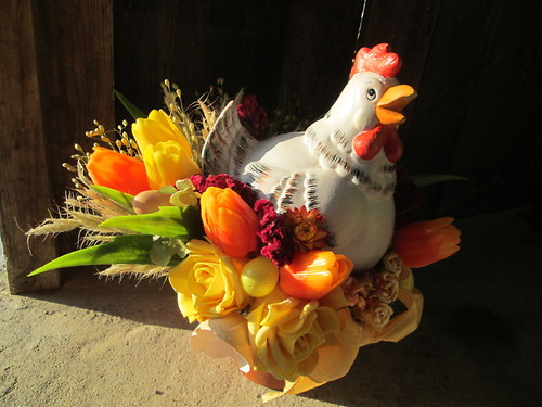 Josefina a jaro — foto 2