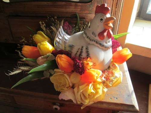 Josefina a jaro — foto 5