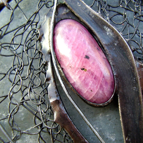 Rostlina — foto 3