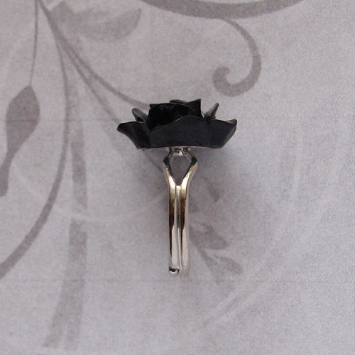 La Rose Noire — foto 3
