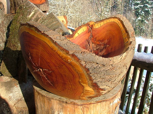 Velká masivní trnková — foto 5