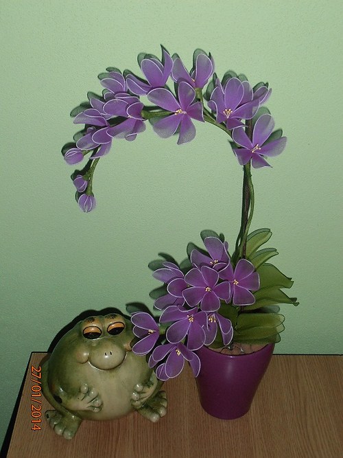 Orchidej — foto 2