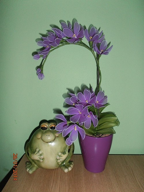 Orchidej — foto 3