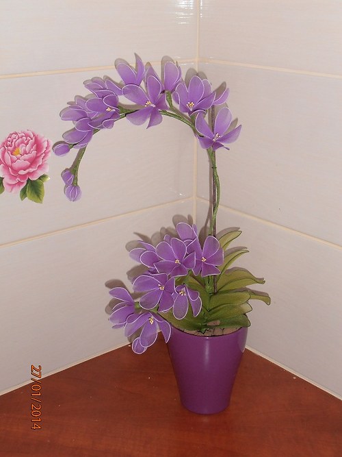 Orchidej — foto 5