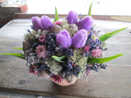 Sen o jarní zahradě — foto 6