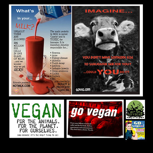 Tričko Go Vegan - výprodej — foto 3