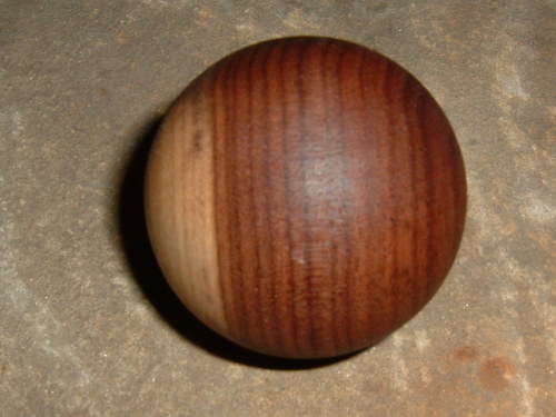 Kanadský ořech — foto 2