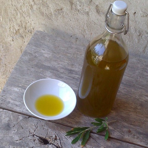 Olivový háj — foto 2