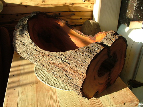 Trnkový mísošpalík — foto 5