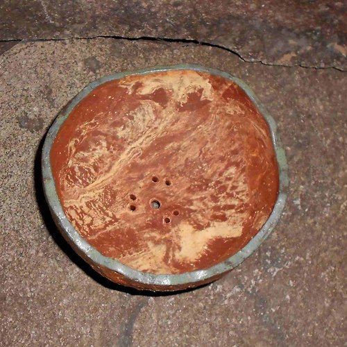 BONSAI MISKA 14x7,5 cm — foto 2