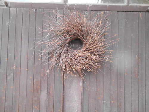 Rozcuchaný z břízy — foto 2