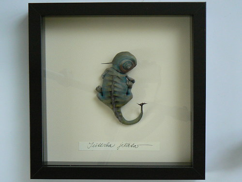 Ještěrka ježatá — foto 5