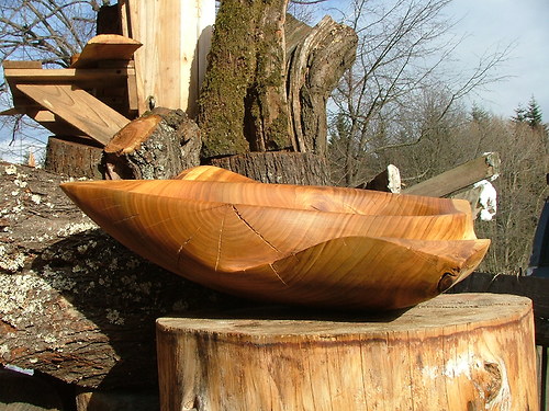 Třešňová " Manta " — foto 3
