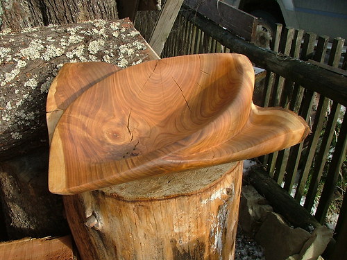 Třešňová " Manta " — foto 5