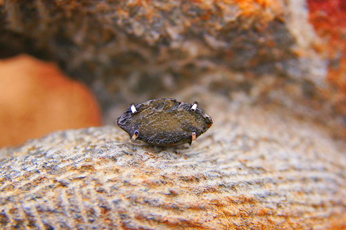 Nerezový prsten ...." Green eye " — foto 4