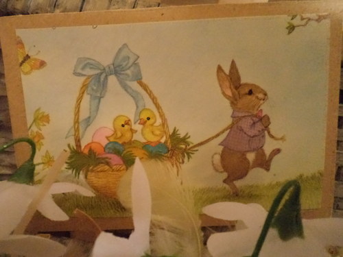 Rozkvetlá vajíčka — foto 3