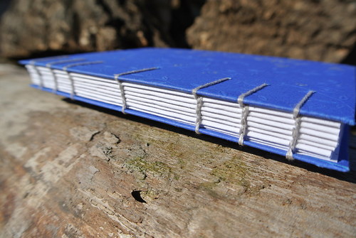 Lord Dark Blue — foto 2