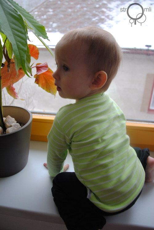 Zelené pruhované, 6-9 M — foto 5