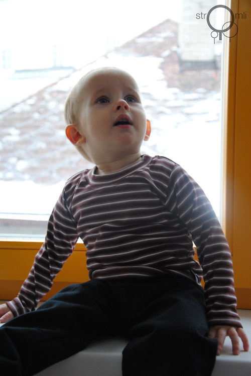 Hnědé pruhované, 6-9 M — foto 2