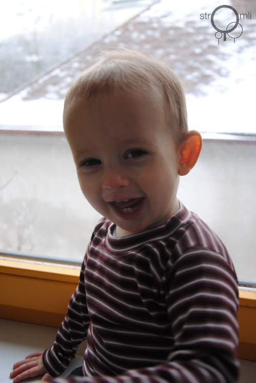 Hnědé pruhované, 6-9 M — foto 3