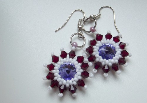 Fialová sluníčka — foto 3