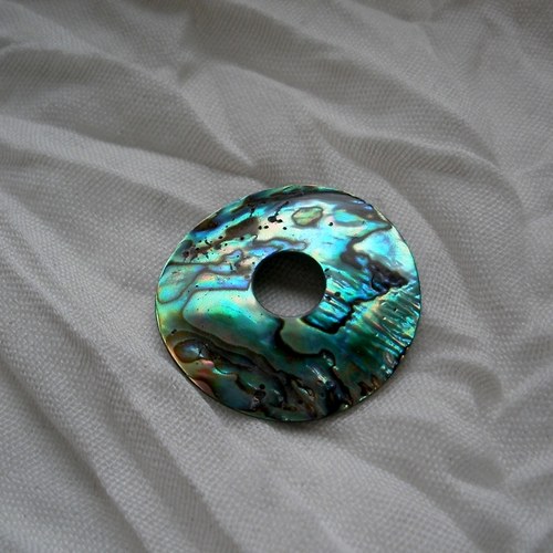 Donut - paua 3. — foto 3