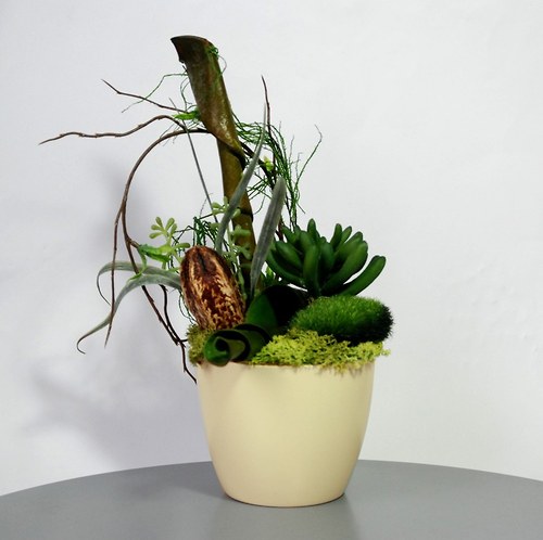 Dekorace Sukulent ivory soul — foto 2