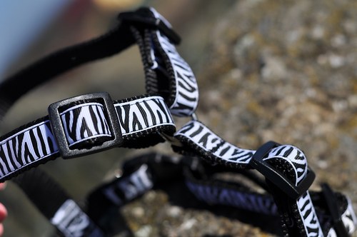 Postroj zebra - vel. M — foto 3