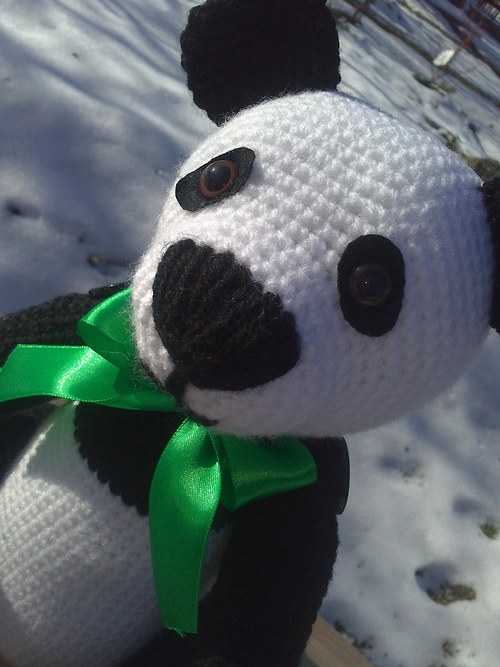 Černobílá? Jedině panda... — foto 4