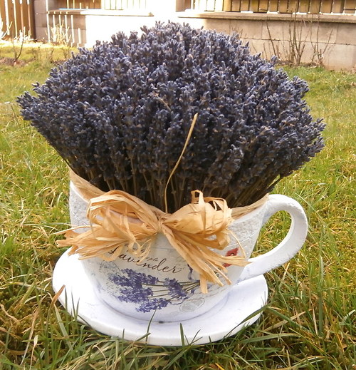 Snídaně v Provence... — foto 2