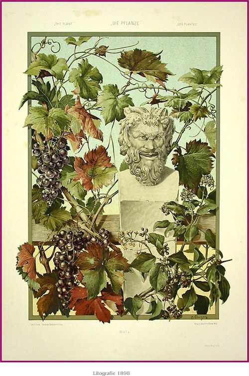 Botanická secese I — foto 2