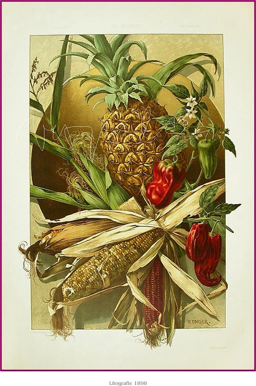 Botanická secese I — foto 4