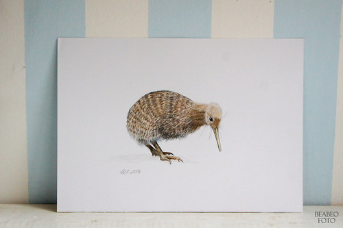 Kiwi, obraz a logo. na přání — foto 2