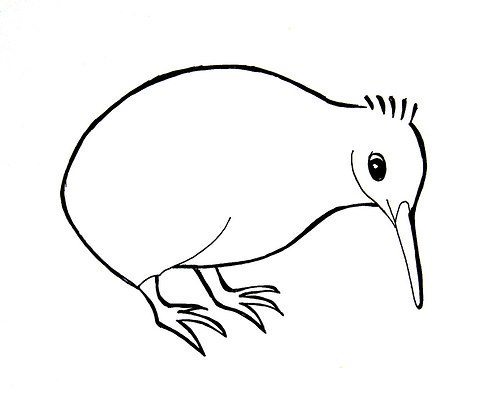 Kiwi, obraz a logo. na přání — foto 3