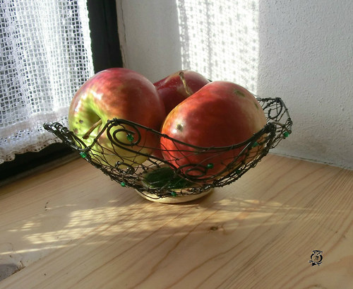 Miska trávou propletená — foto 3