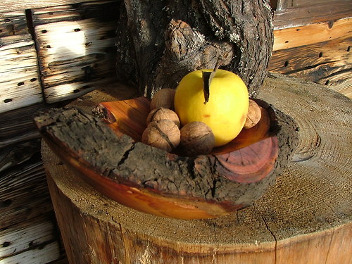 Trnková botička — foto 3