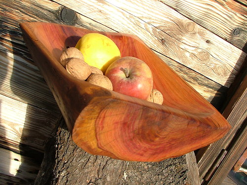 Trnková barevná — foto 3