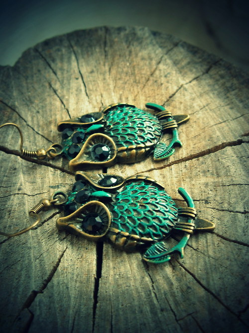 Owls... — foto 2