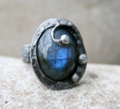 Myosotis — foto 3